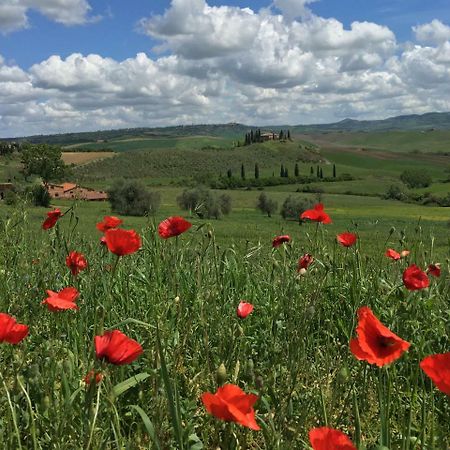 Residenza D'Epoca La Rosa Pienza Exterior foto