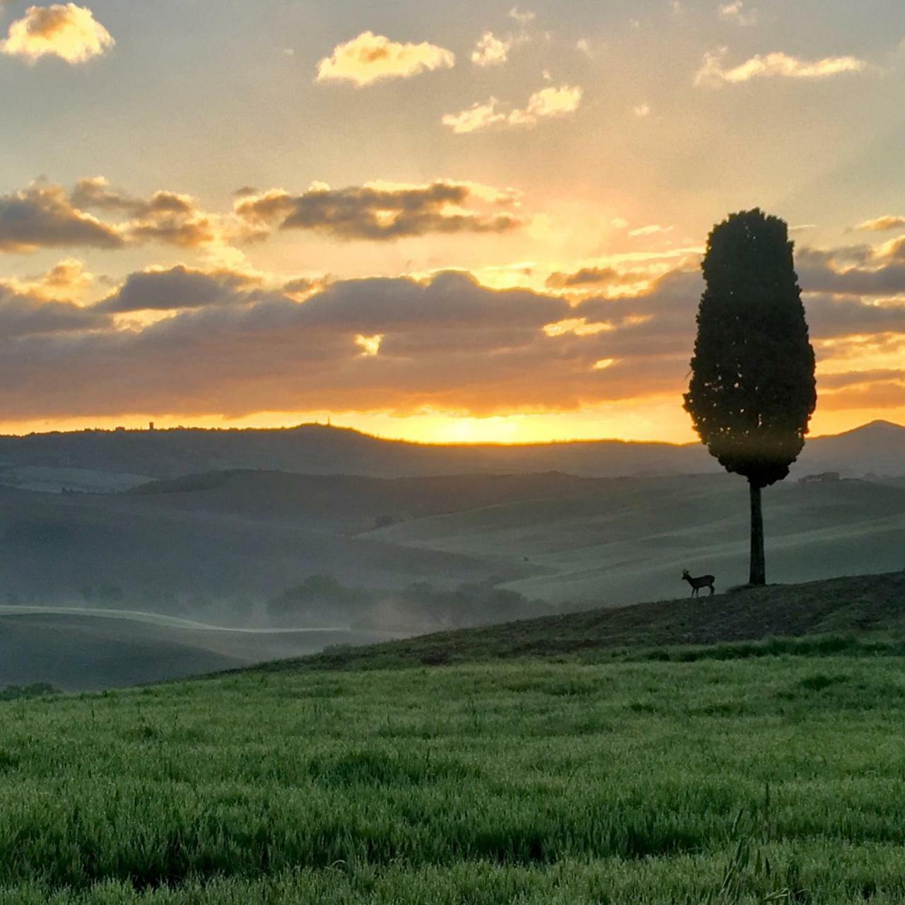 Residenza D'Epoca La Rosa Pienza Exterior foto