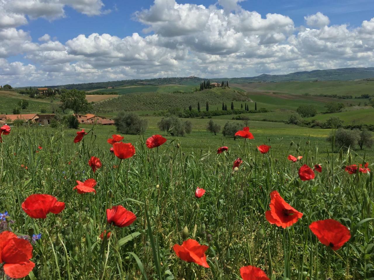 Residenza D'Epoca La Rosa Pienza Exterior foto