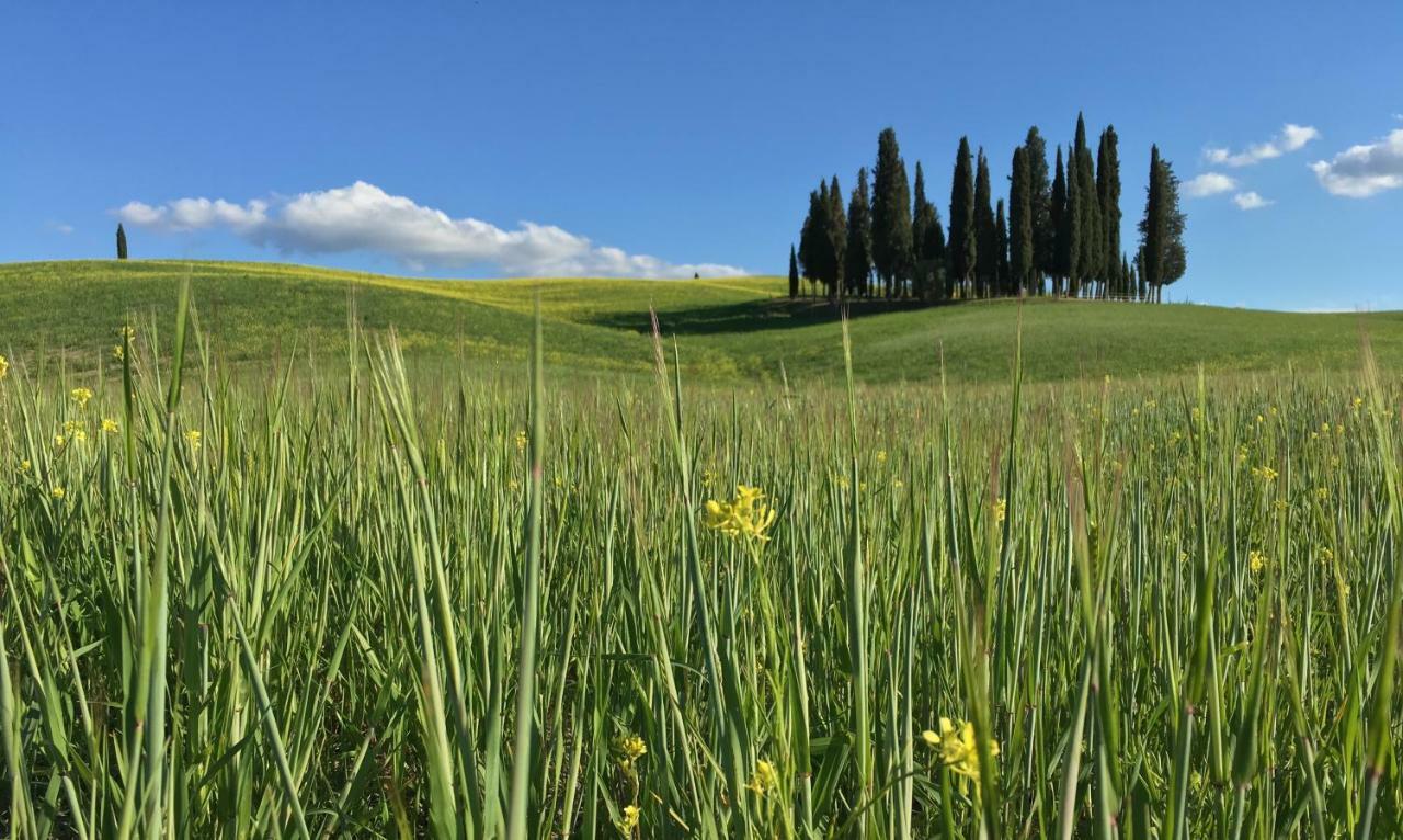 Residenza D'Epoca La Rosa Pienza Exterior foto